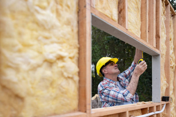 Best Attic Insulation Installation in Taylor, AZ