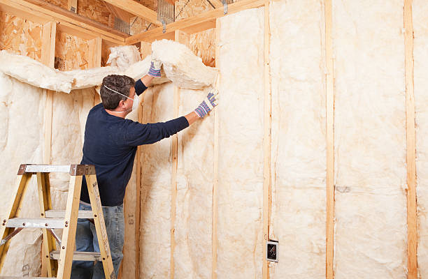 Best Batt and Roll Insulation in Taylor, AZ